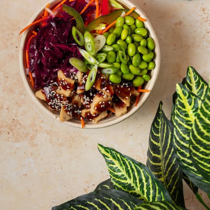 Colourful poke bowl flatlay with green foliage